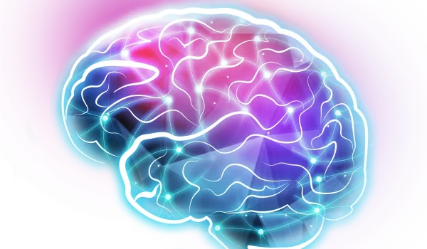 ذهن موفق